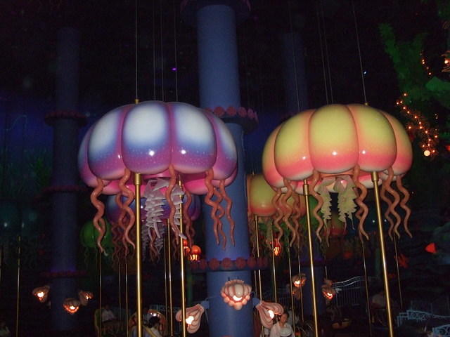 DSCF1142.JPG