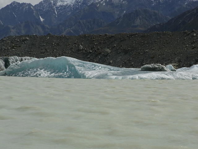 RIMG0788.JPG