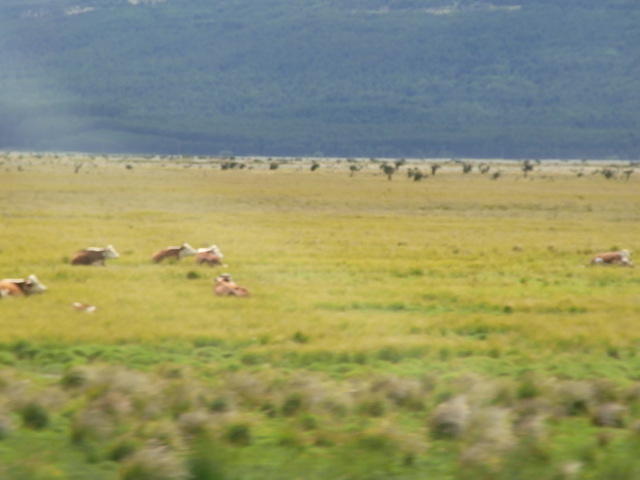 RIMG0899.JPG