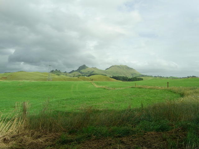 RIMG1099.JPG
