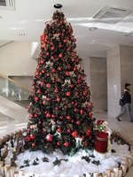 IMG_1437.JPG